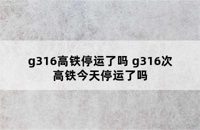 g316高铁停运了吗 g316次高铁今天停运了吗